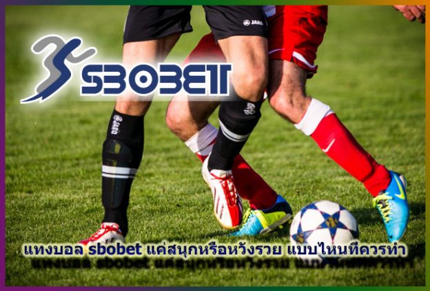 sbobet